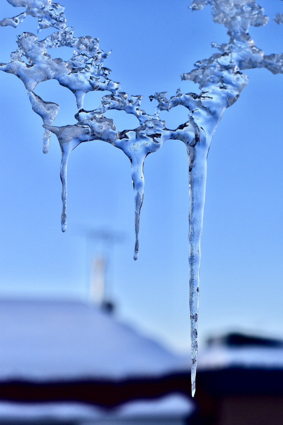 WEB TOKACHI KACHIMAI－十勝毎日新聞社グループ