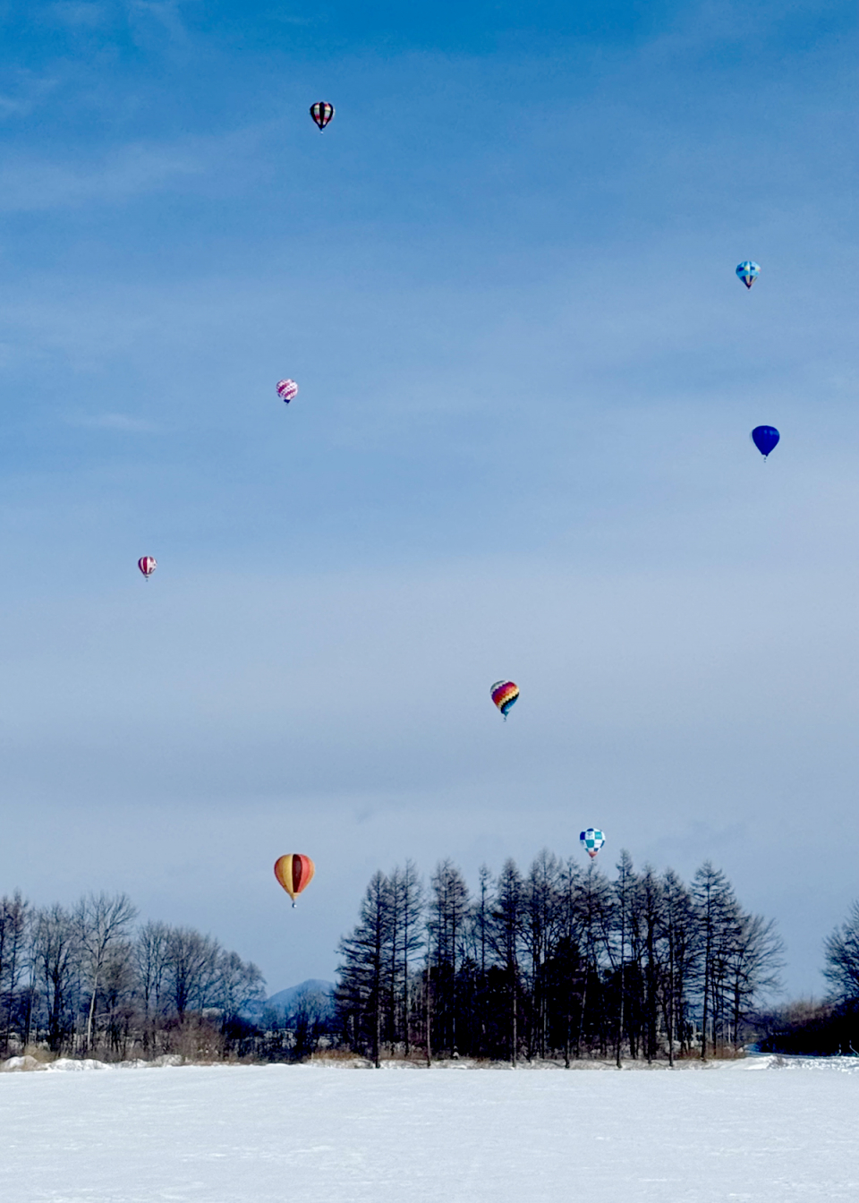WEB TOKACHI KACHIMAI－十勝毎日新聞社グループ
