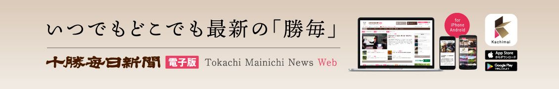 勝毎電子版電子版