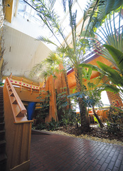 PHOTO-4