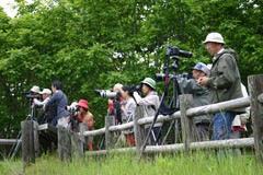 写真部会・活動内容